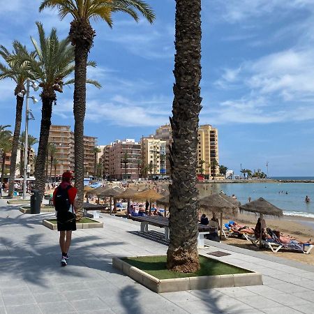 Appartement Torrevieja Alicante エクステリア 写真