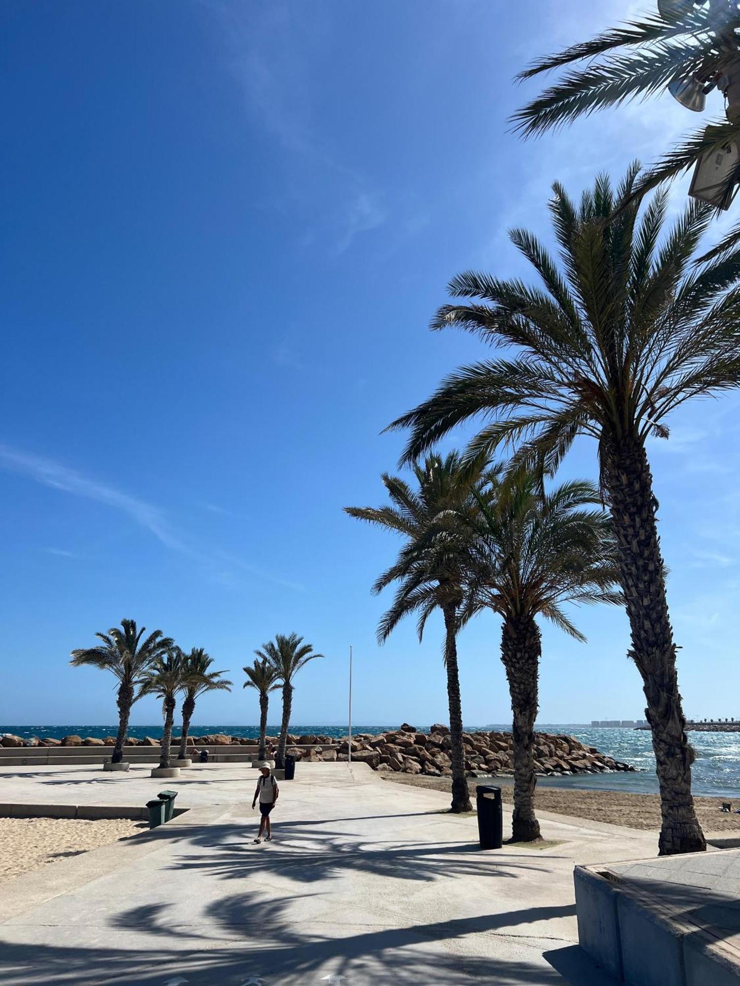 Appartement Torrevieja Alicante エクステリア 写真
