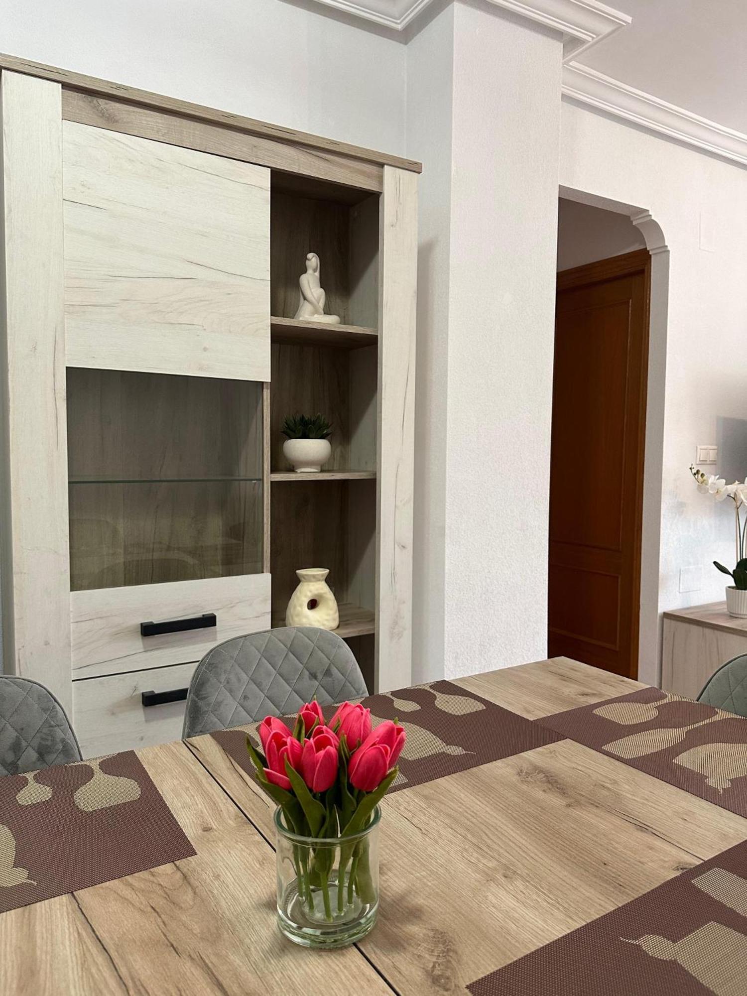Appartement Torrevieja Alicante エクステリア 写真