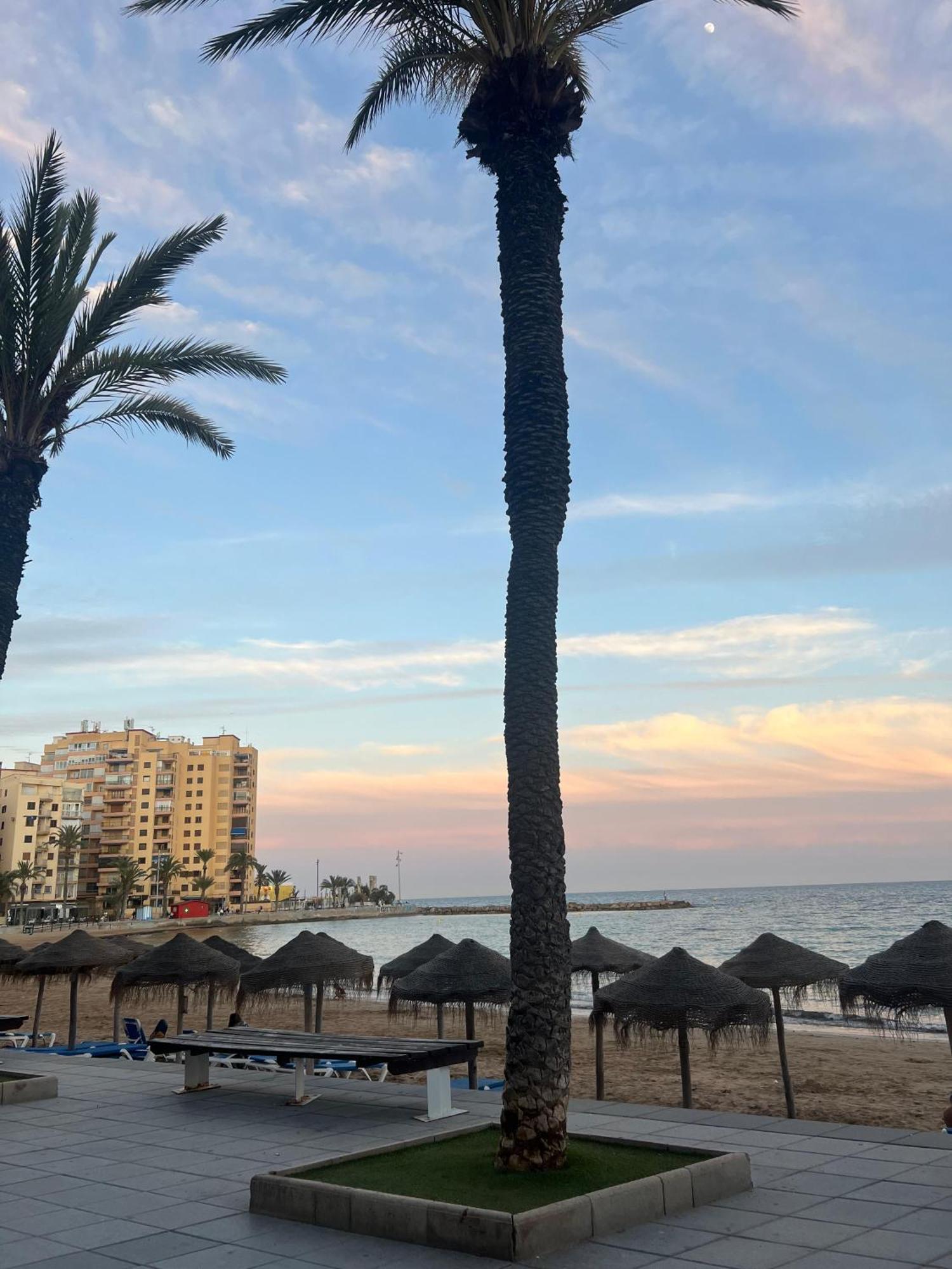 Appartement Torrevieja Alicante エクステリア 写真